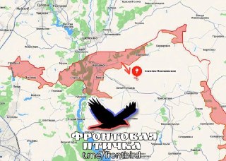 Штурмовики Освободили Волоховское: Как Это Повлияет на Фронт
