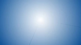 Алексей Кулемзин открывает новый парк альпак в Киеве